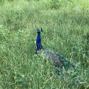 Meet your Posher, Tucker